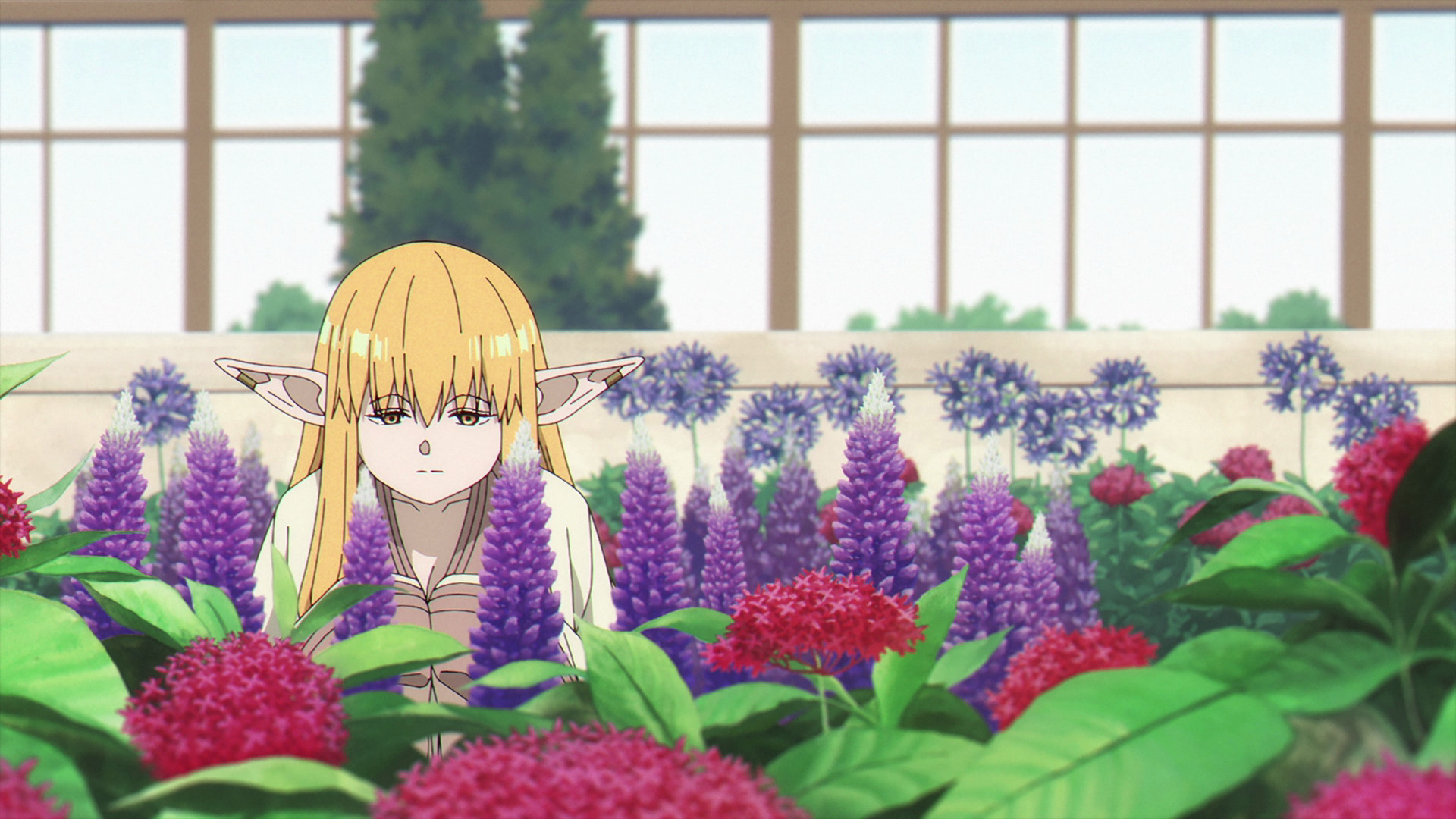 La era de la humanidad