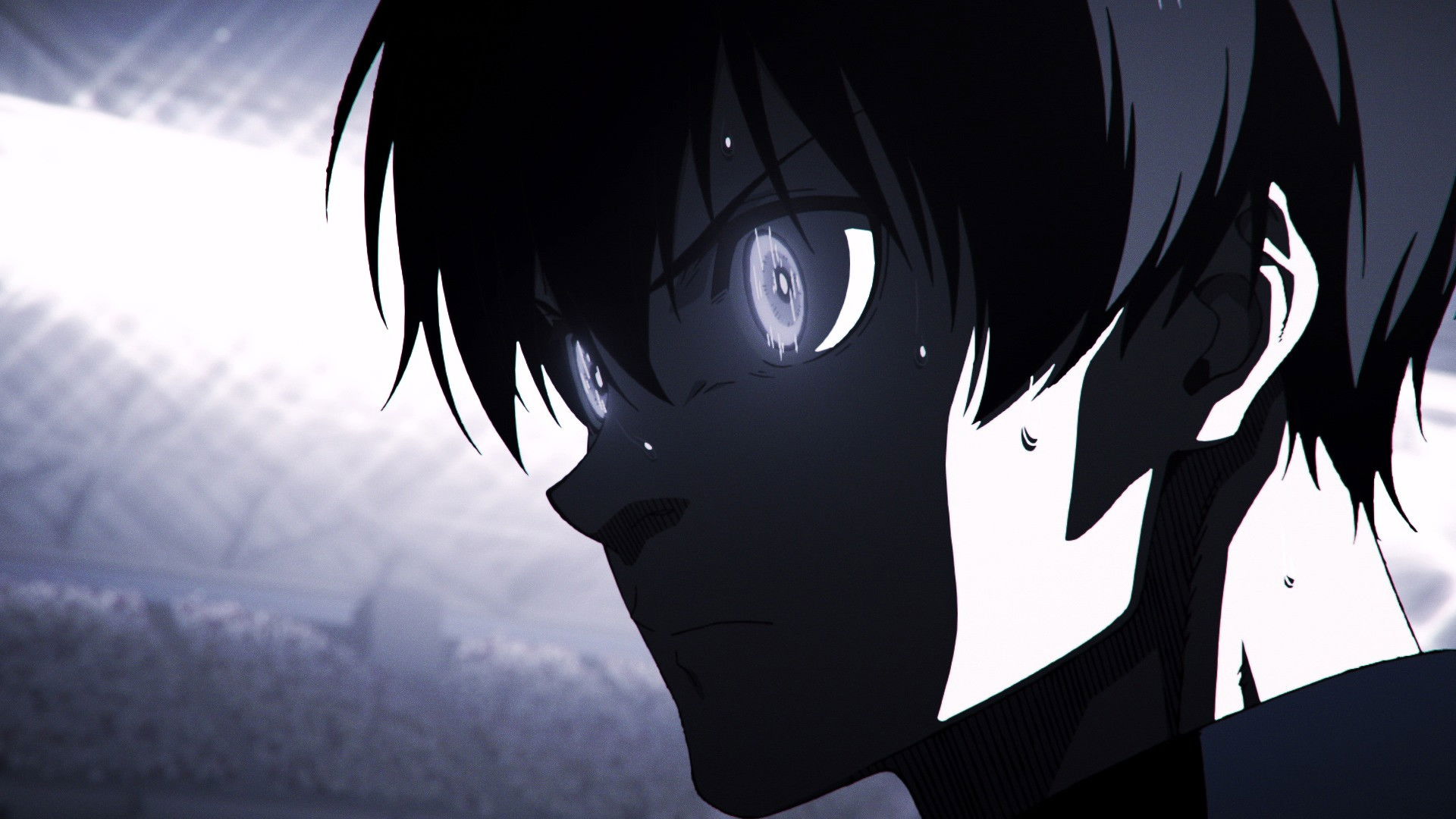 Lo que nos enseñaste