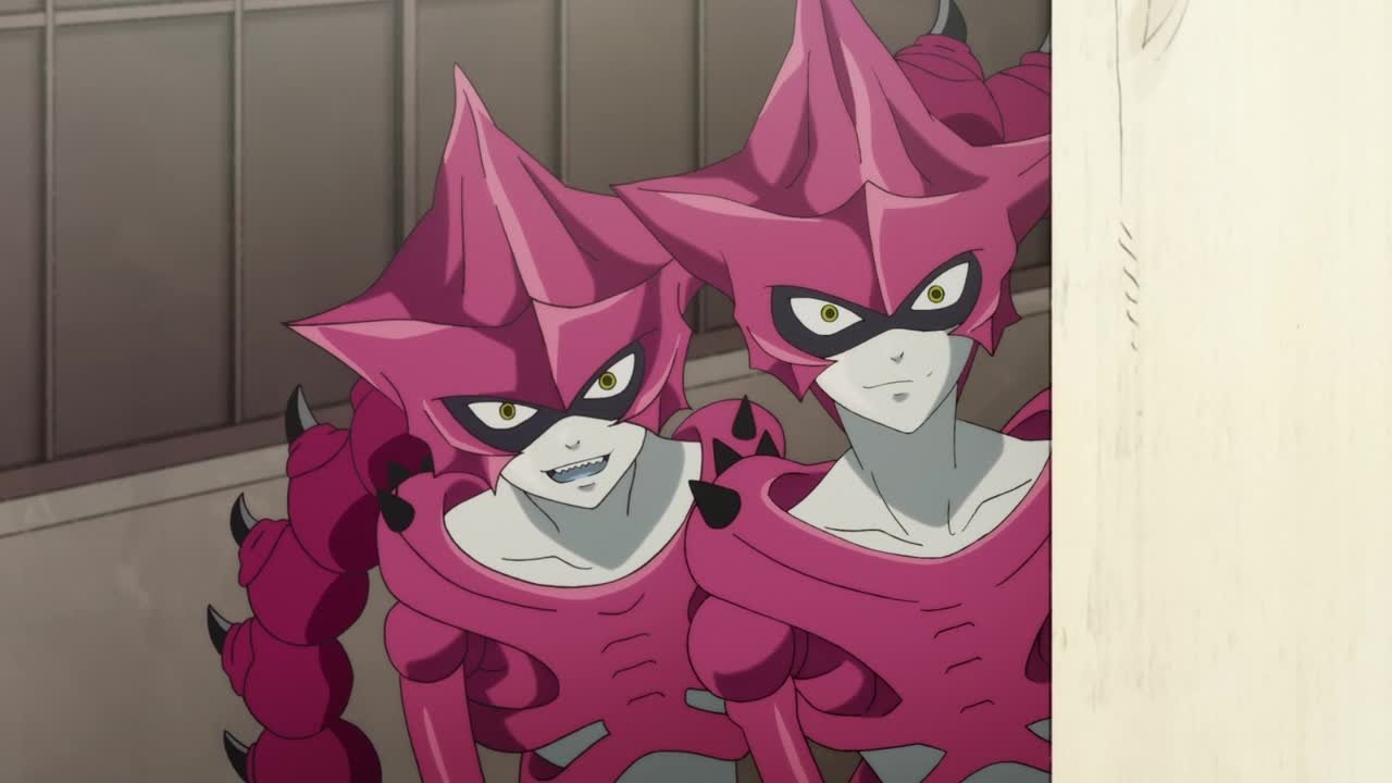 Circulación de la sangre