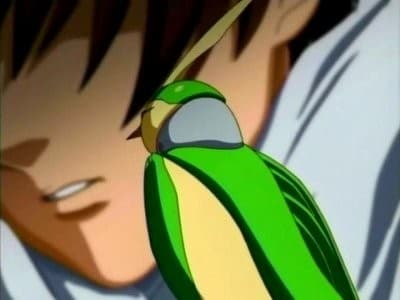 Colmillos del Enemigo