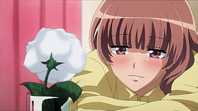 El amor de Sakura son los Indies