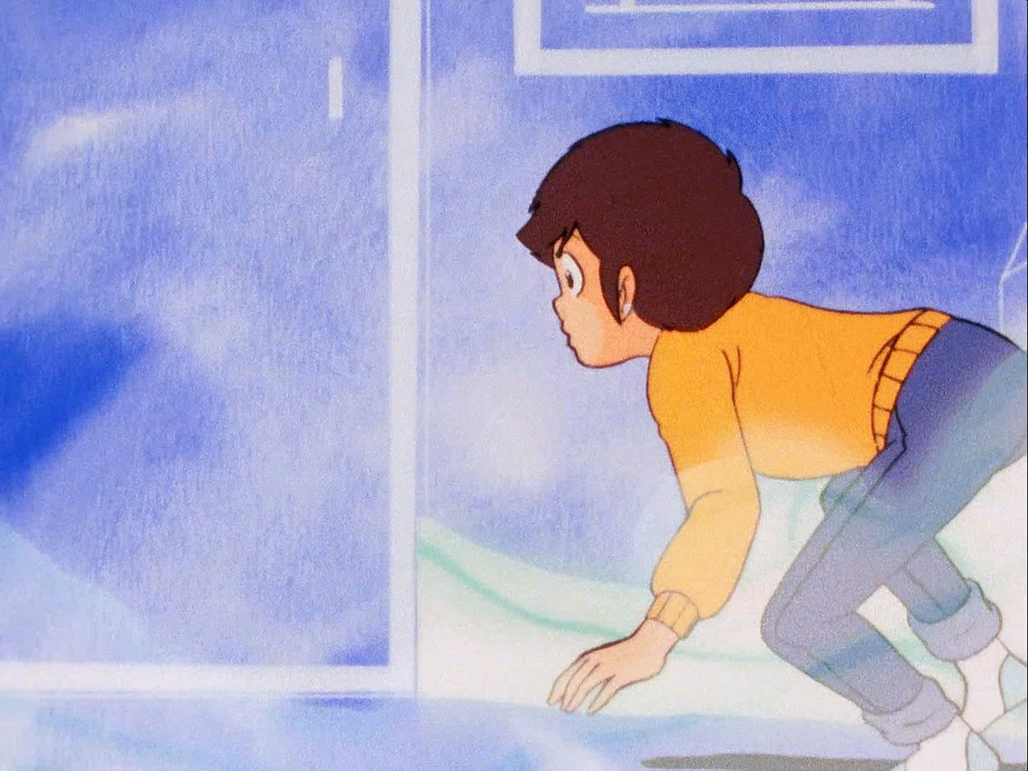 ¿Puede un mapache ser agradecido?